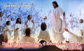Lời Nguyện Tín Hữu GPCT 2019: Chúa Nhật 32 TN Năm C
