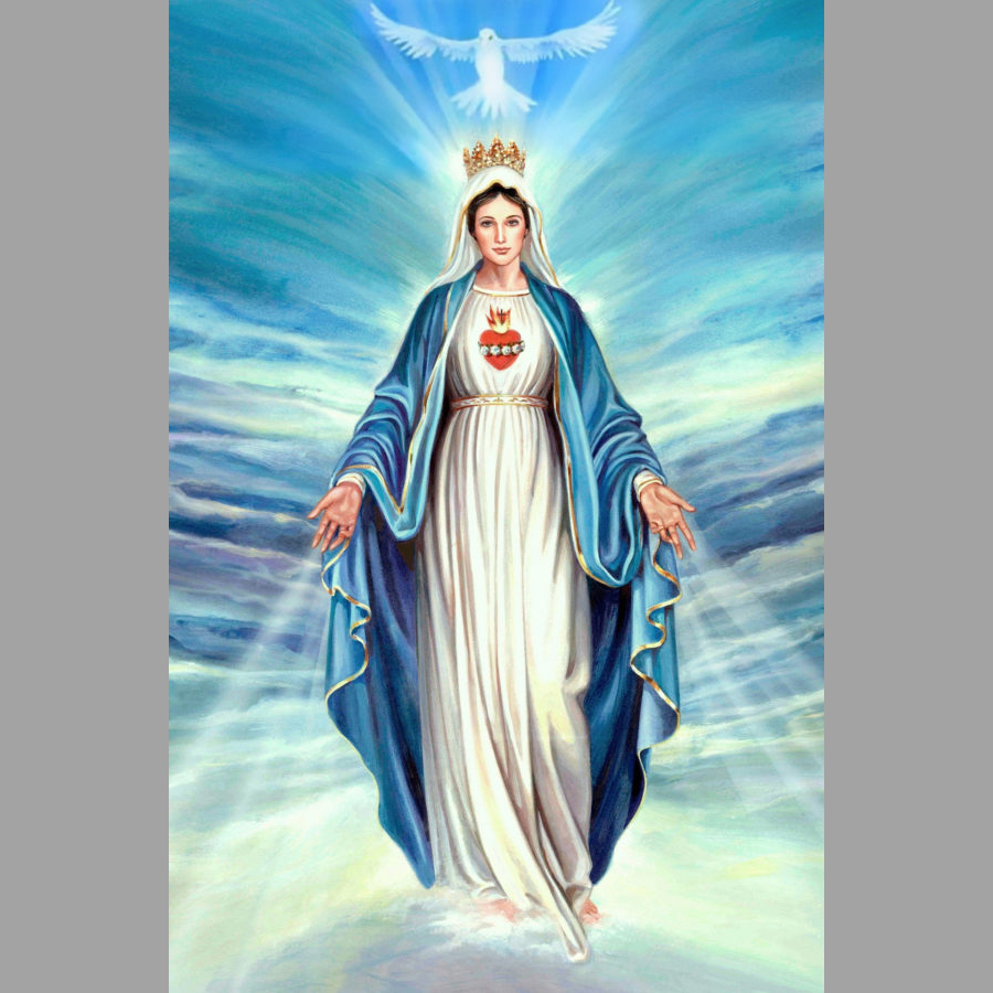PHỤNG VỤ LỄ ĐỨC MARIA VÔ NHIỄM NGUYÊN TỘI 08/12/2019