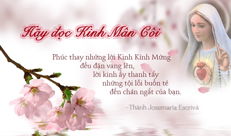 GIÁ TRỊ LỜI KINH MÂN CÔI